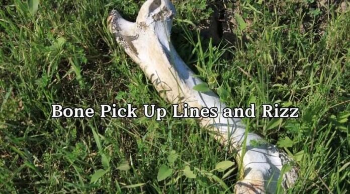 Bone Pick Up Lines and Rizz Bone Pick Up Lines and Rizz