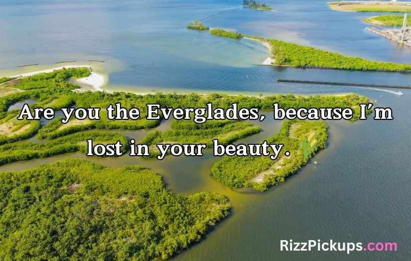 Florida Pick Up Lines