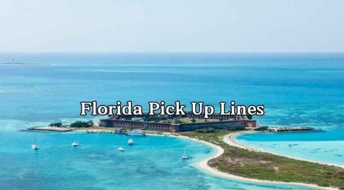Florida Pick Up Lines Florida Pick Up Lines