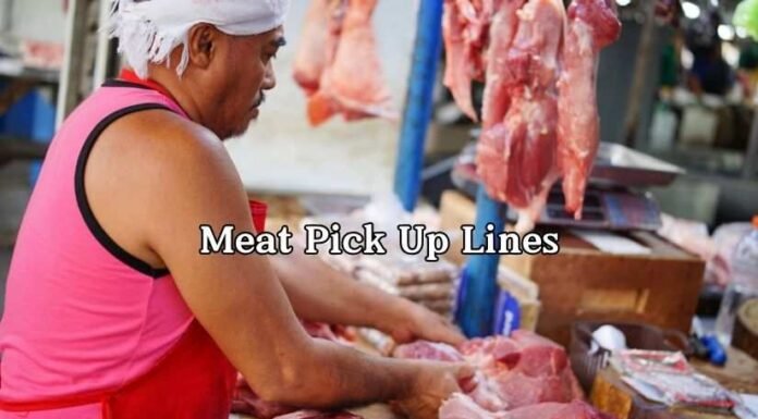 Meat Pick Up Lines Meat Pick Up Lines