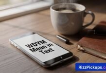 WDYM Mean in Text WDYM Mean in Text