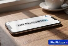 WSP Meaning in Text WSP Meaning in Text