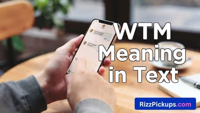 WTM Meaning in Text