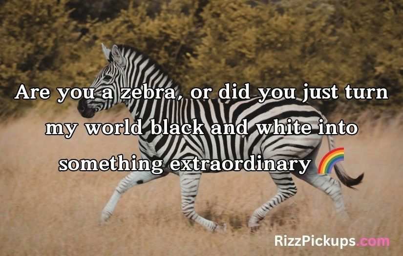 Zebra Pickup Lines