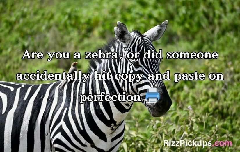 Zebra Pickup Lines