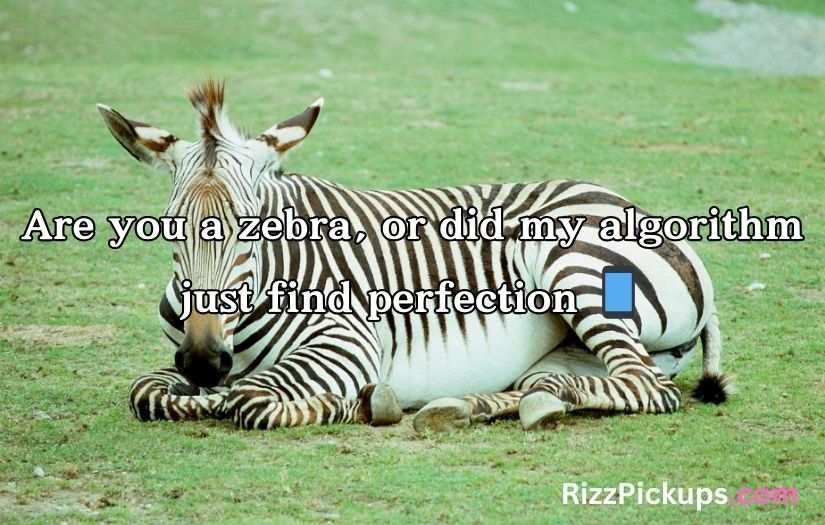 Zebra Pickup Lines