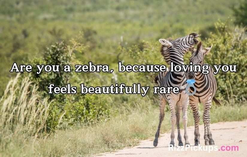 Zebra Pickup Lines
