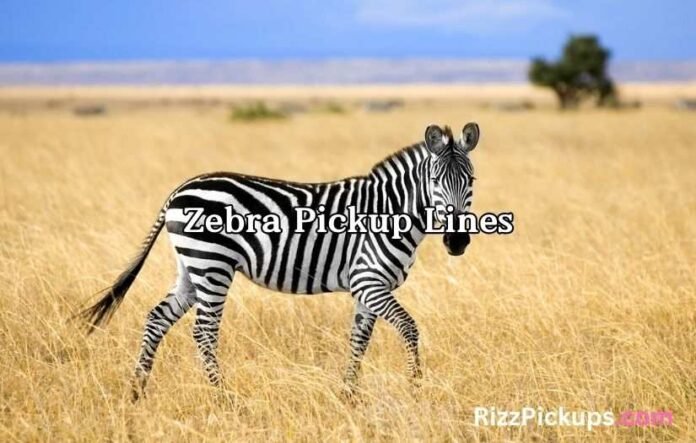 Zebra Pickup Lines Zebra Pickup Lines