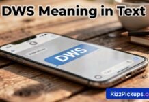 DWS Meaning in Text DWS Meaning in Text