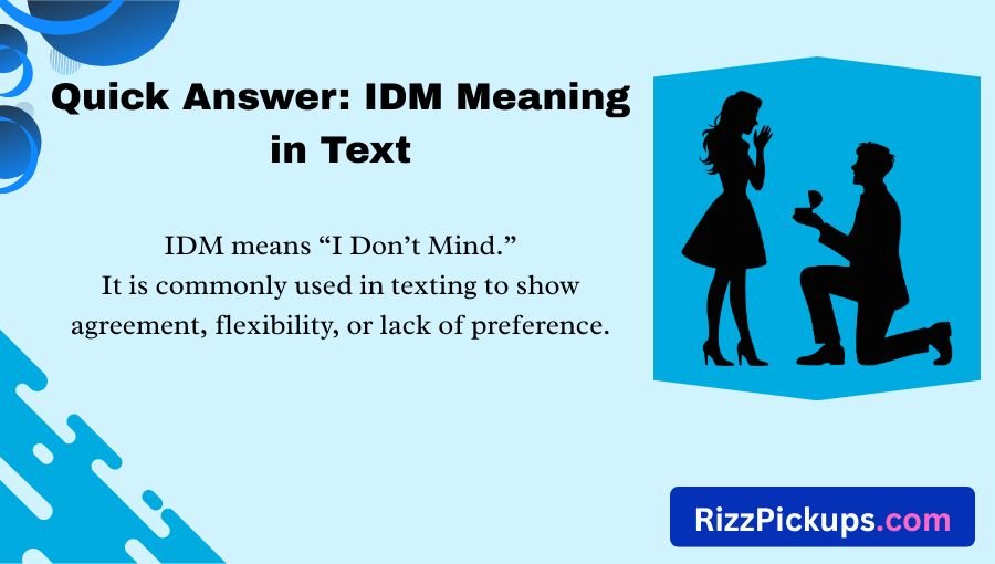 IDM Meaning in Text