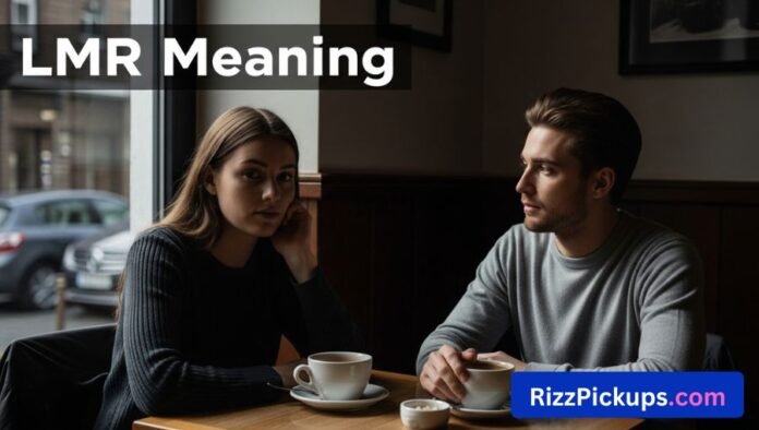 LMR Meaning LMR Meaning